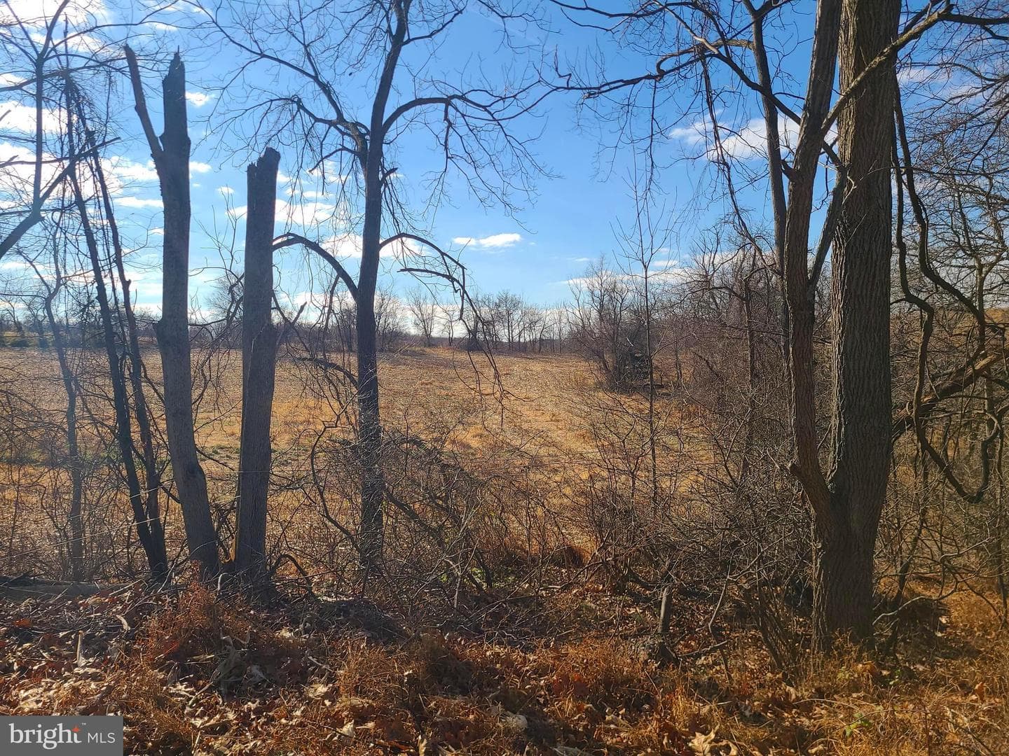 2800 Sykesville Road photo 14