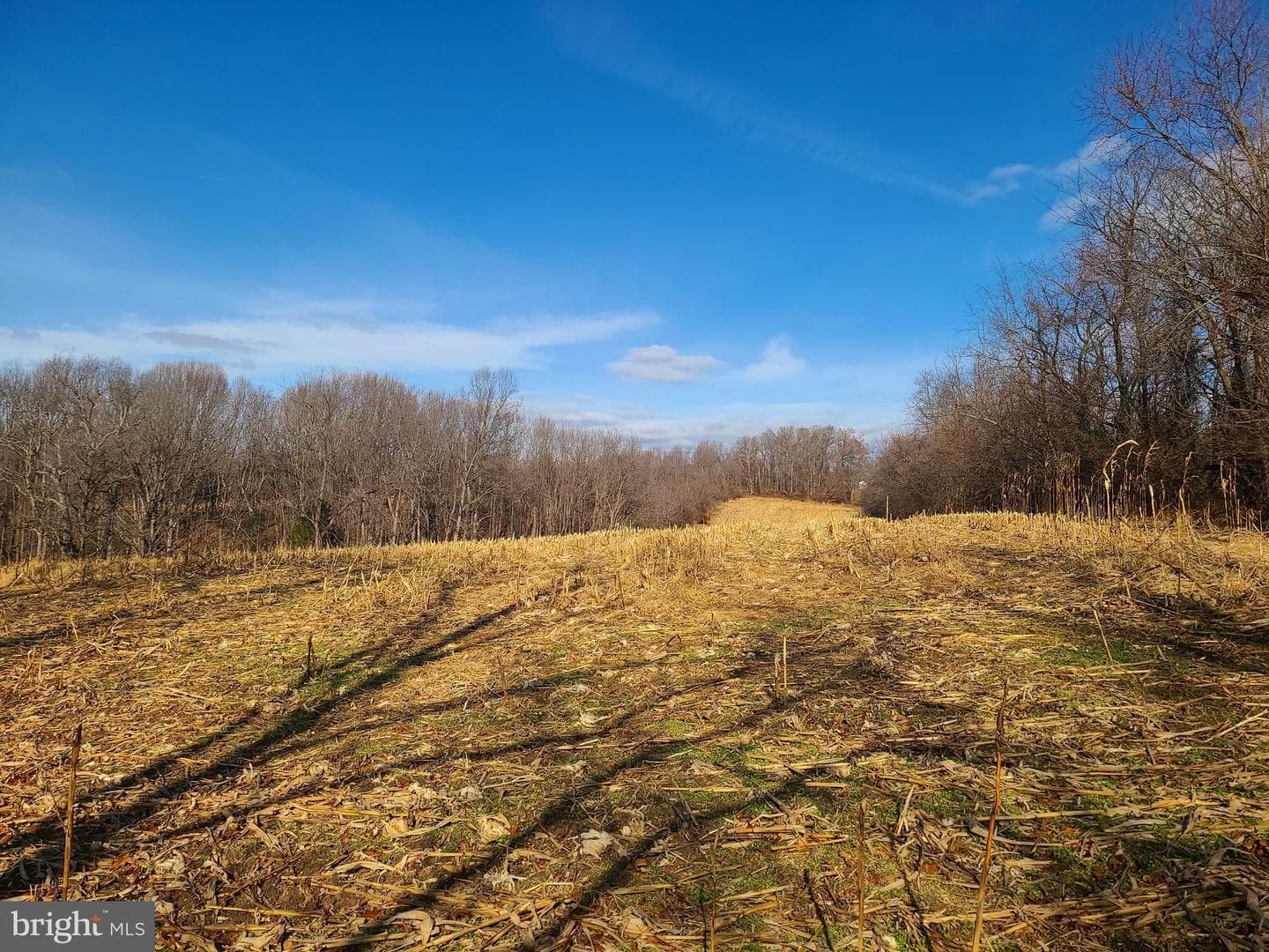 2800 Sykesville Road photo 15