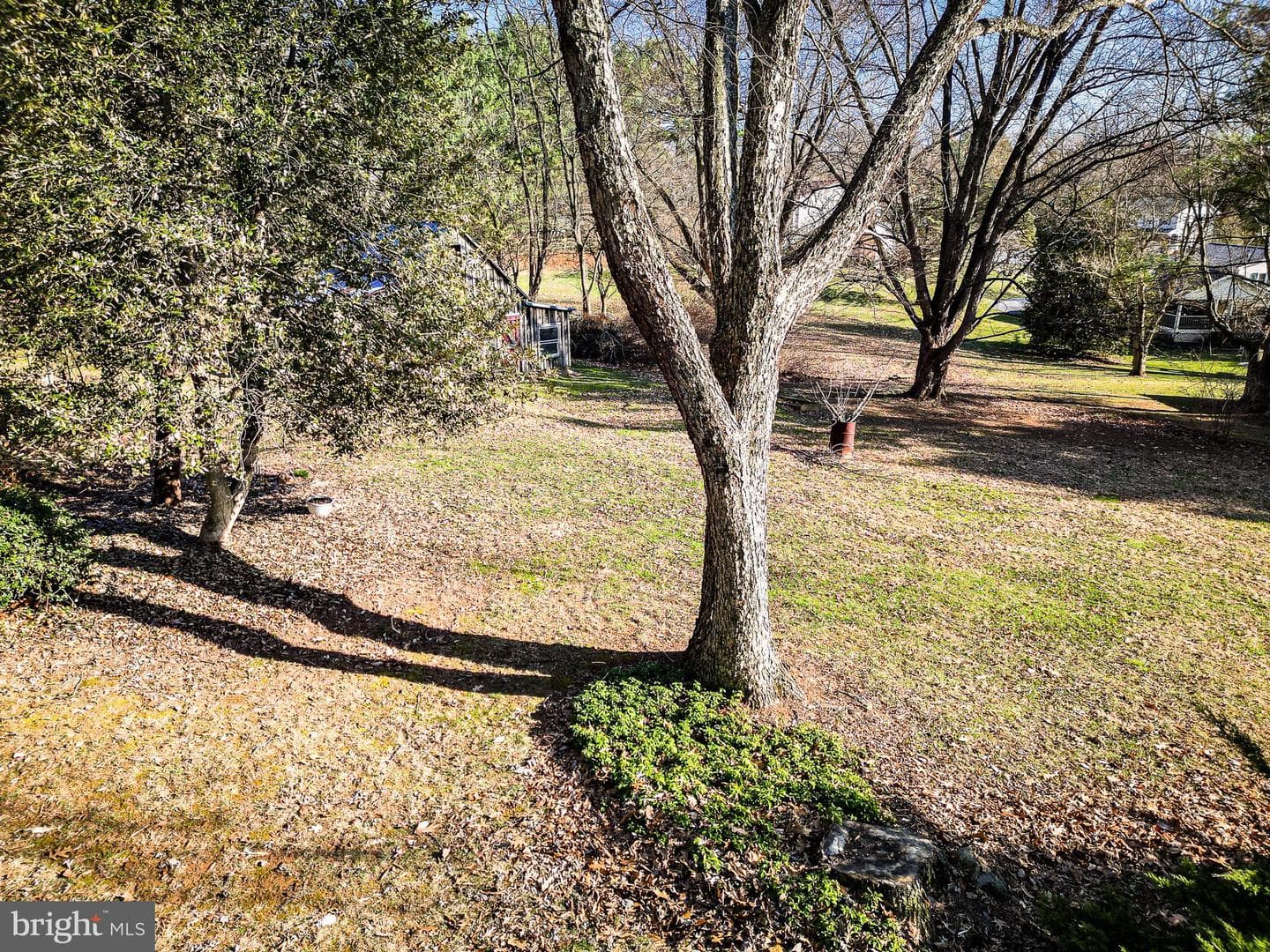 433 Obrecht Road photo 48