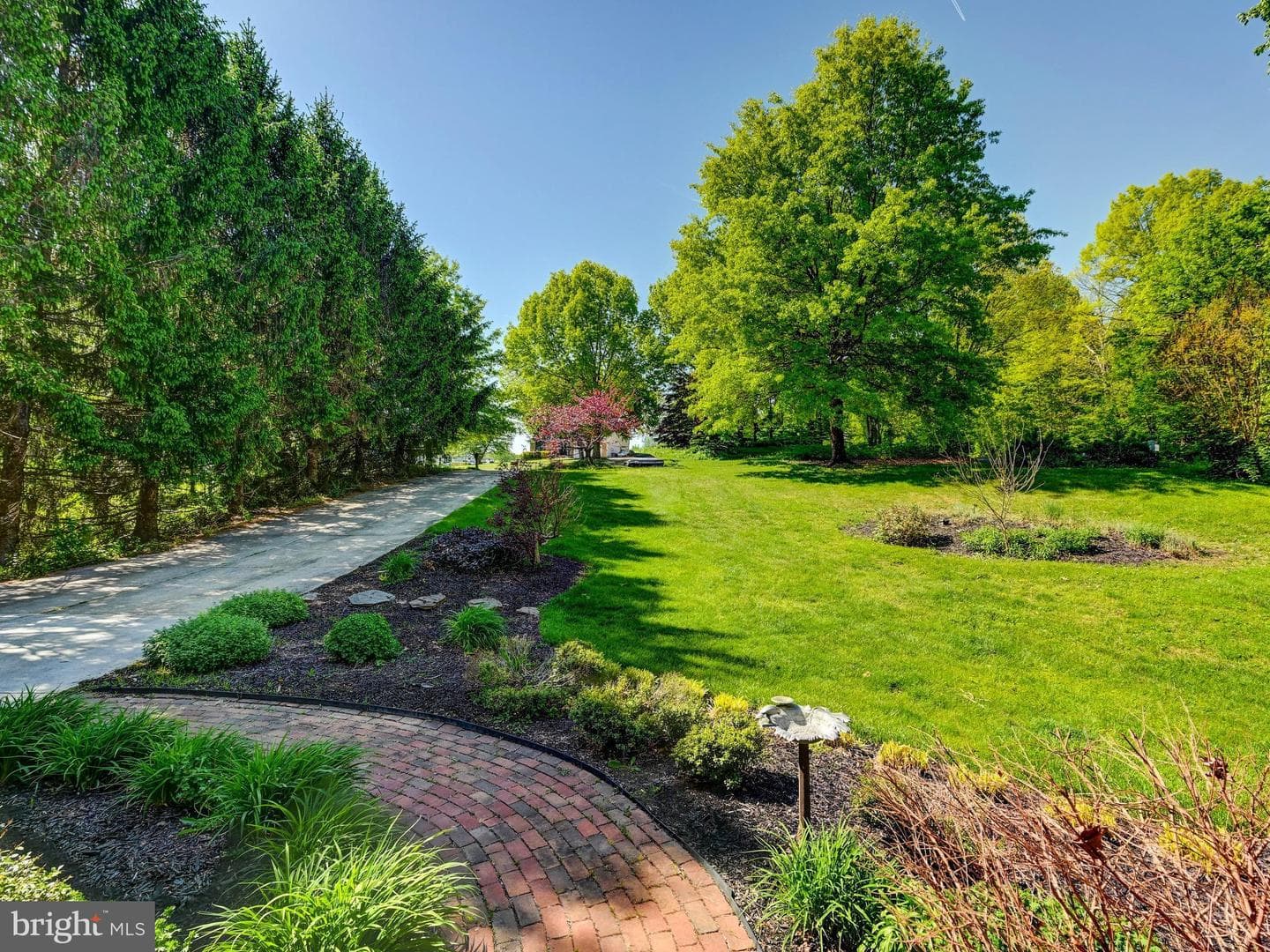 1302 Naugahyde Road photo 3