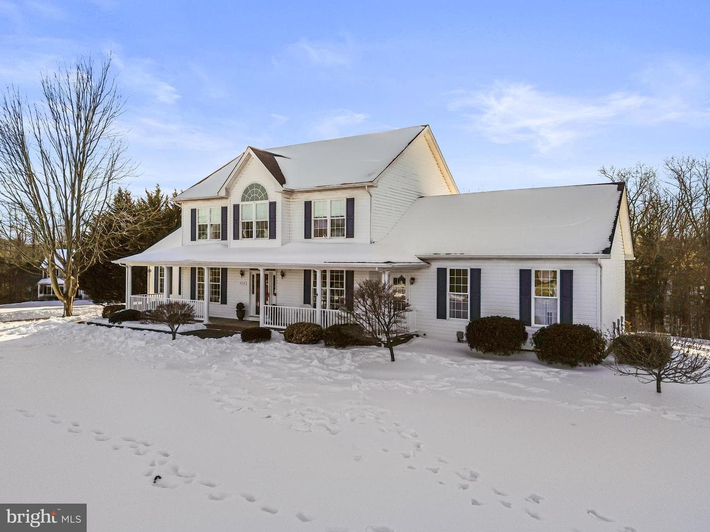 4710 Gold Finch Drive photo 10