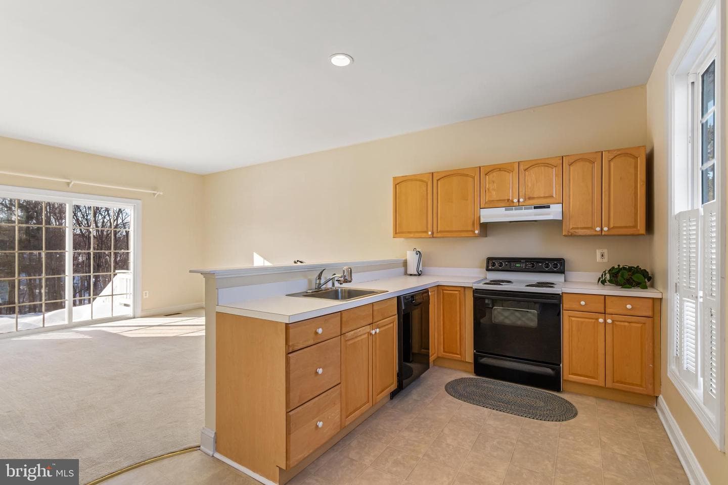 4710 Gold Finch Drive photo 67