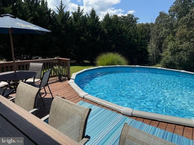 4710 Gold Finch Drive photo 81