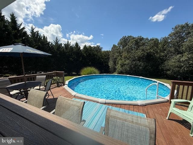 4710 Gold Finch Drive photo 82
