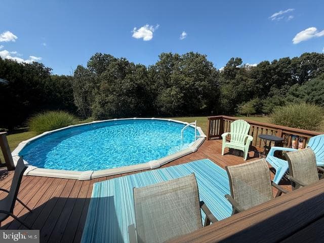 4710 Gold Finch Drive photo 84