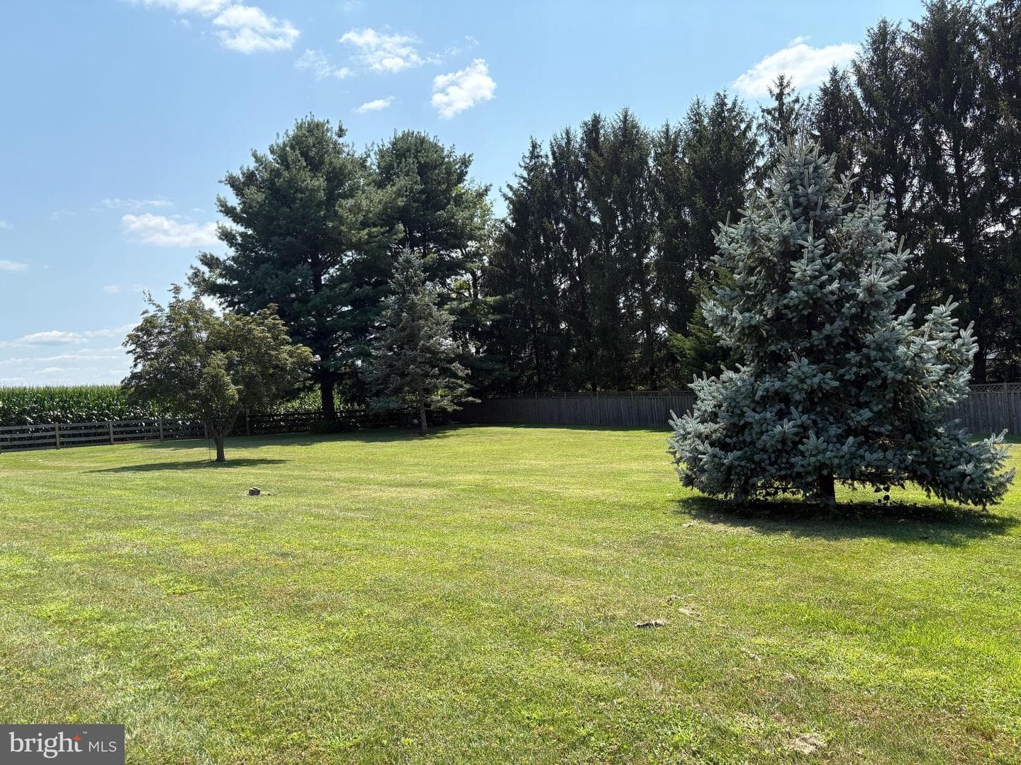 4316 Utz Road photo 82