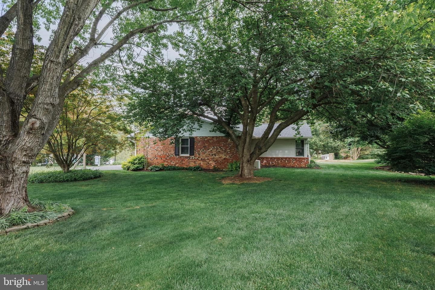 107 White Way photo 46