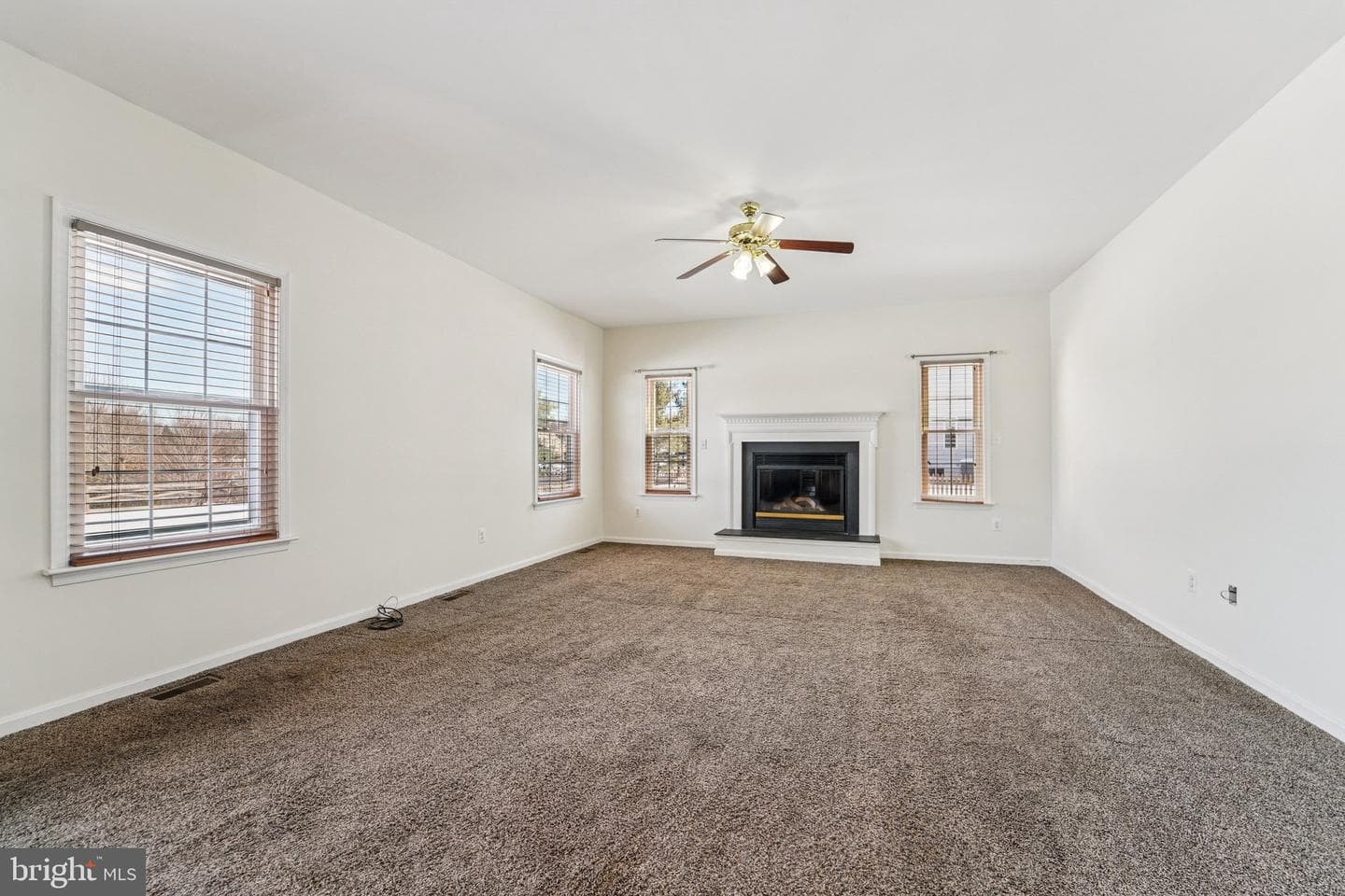 710 Bridlewreath Way photo 18