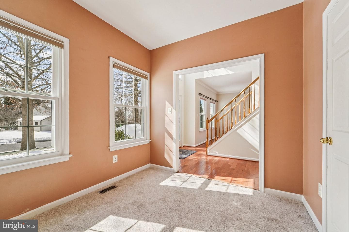710 Bridlewreath Way photo 20