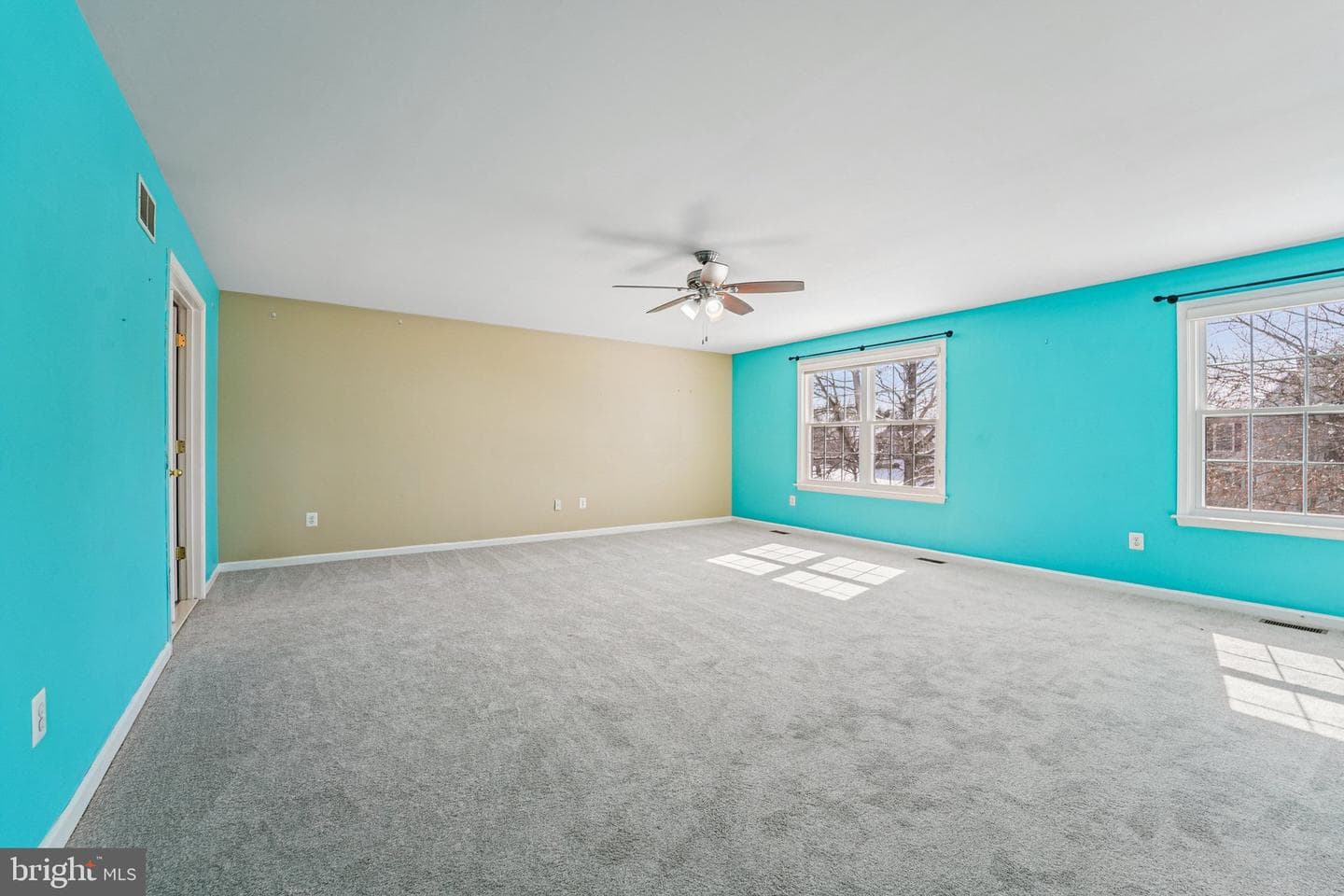 710 Bridlewreath Way photo 24