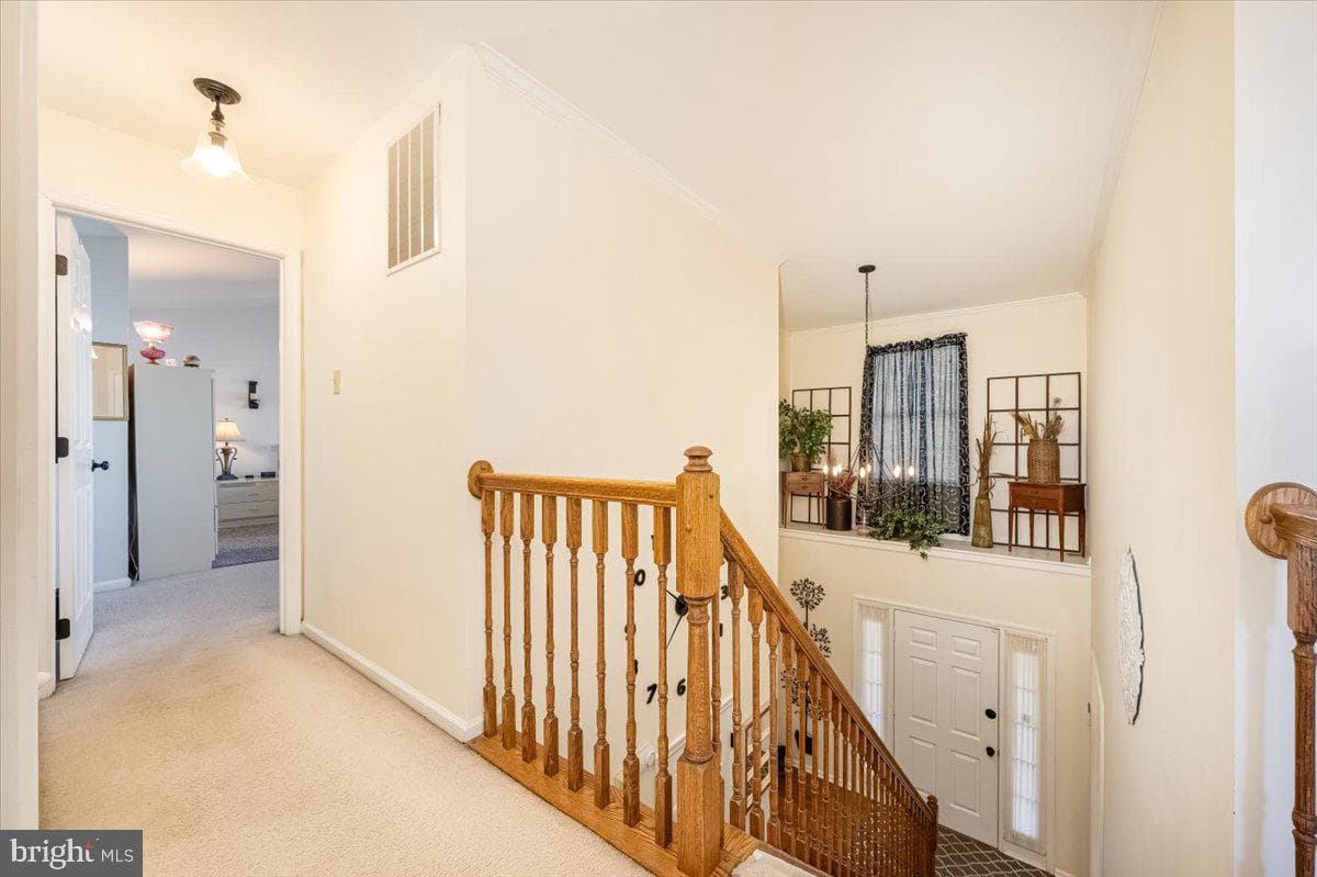 43 Bancroft Street photo 30