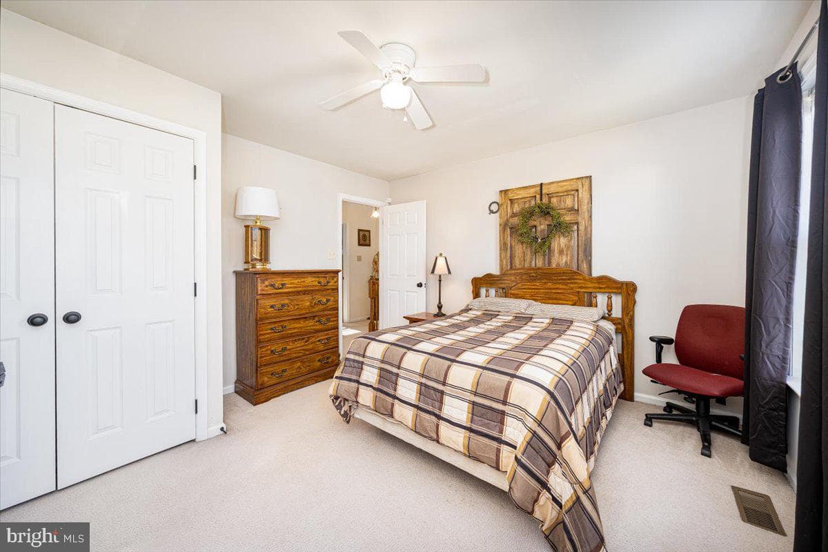 43 Bancroft Street photo 32