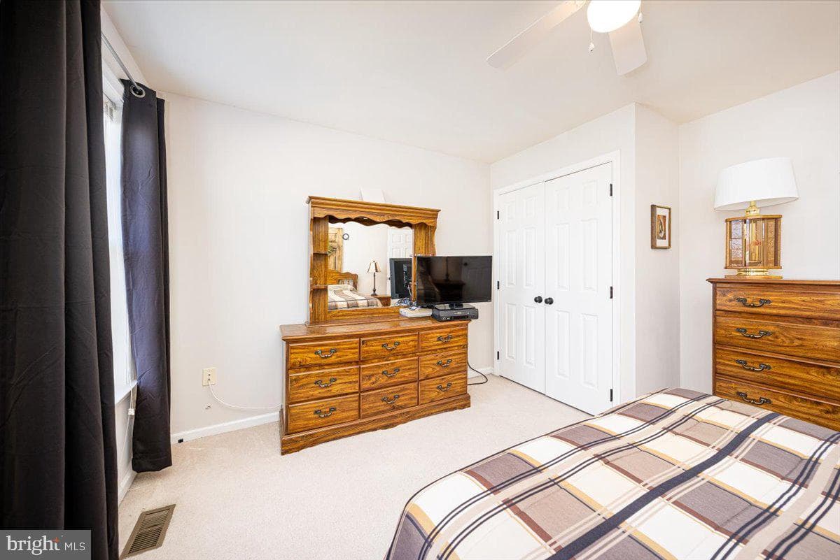 43 Bancroft Street photo 33