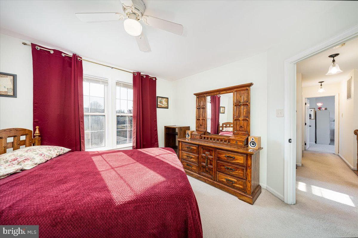 43 Bancroft Street photo 35