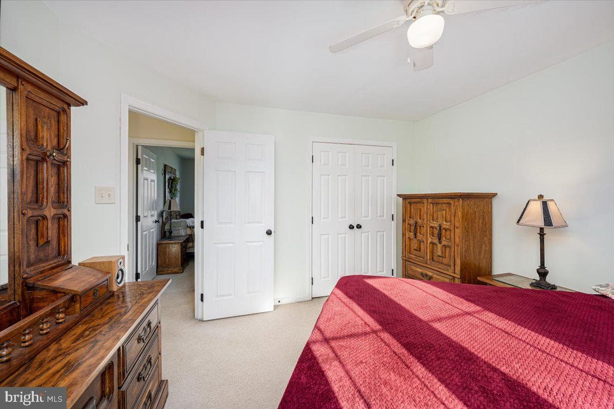 43 Bancroft Street photo 36