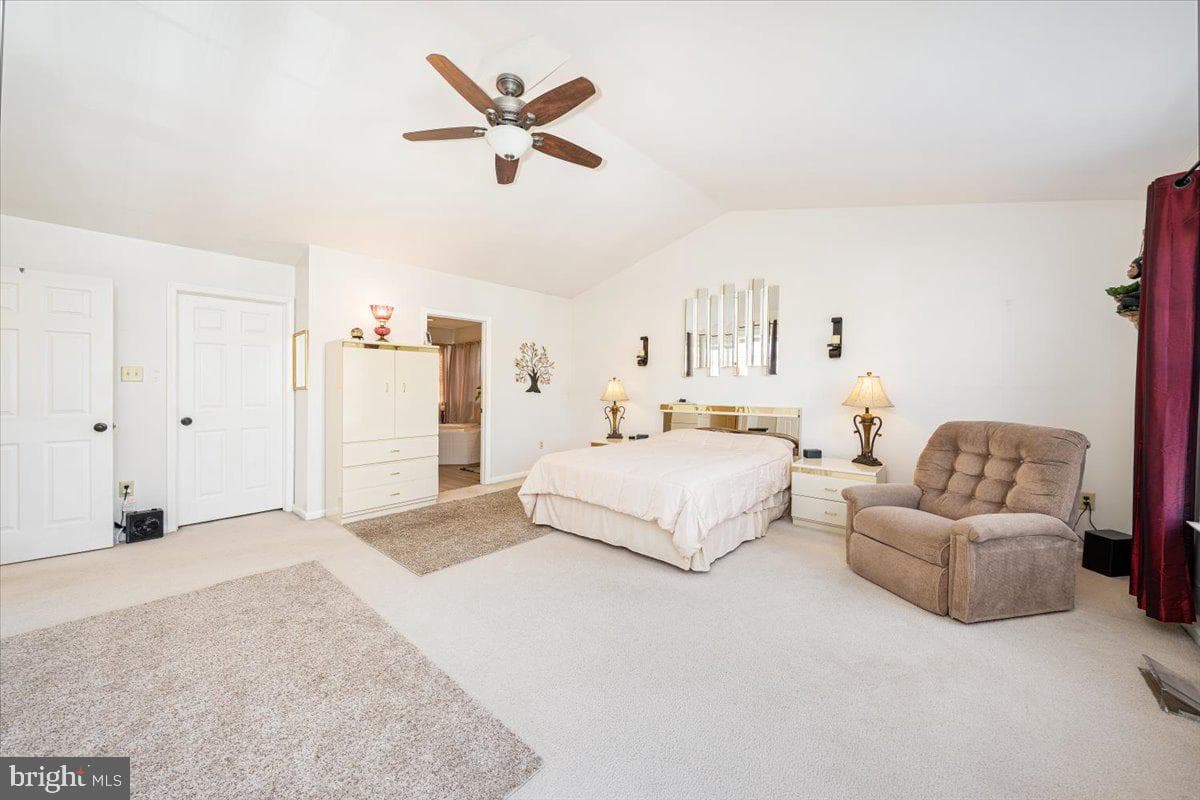 43 Bancroft Street photo 41
