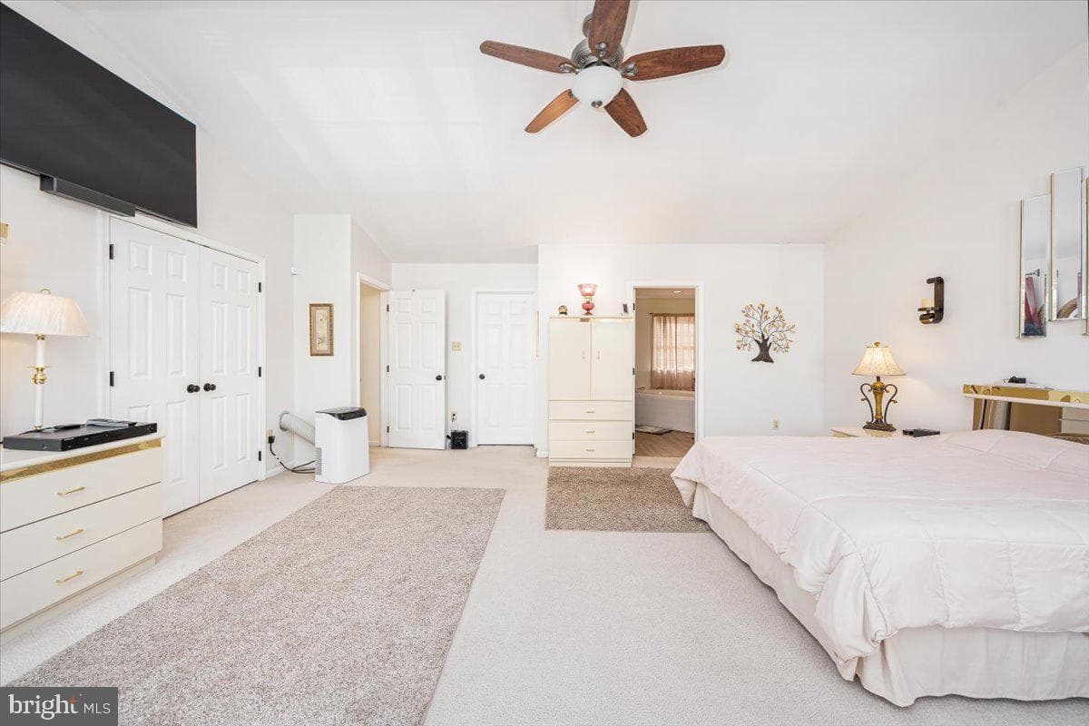 43 Bancroft Street photo 42