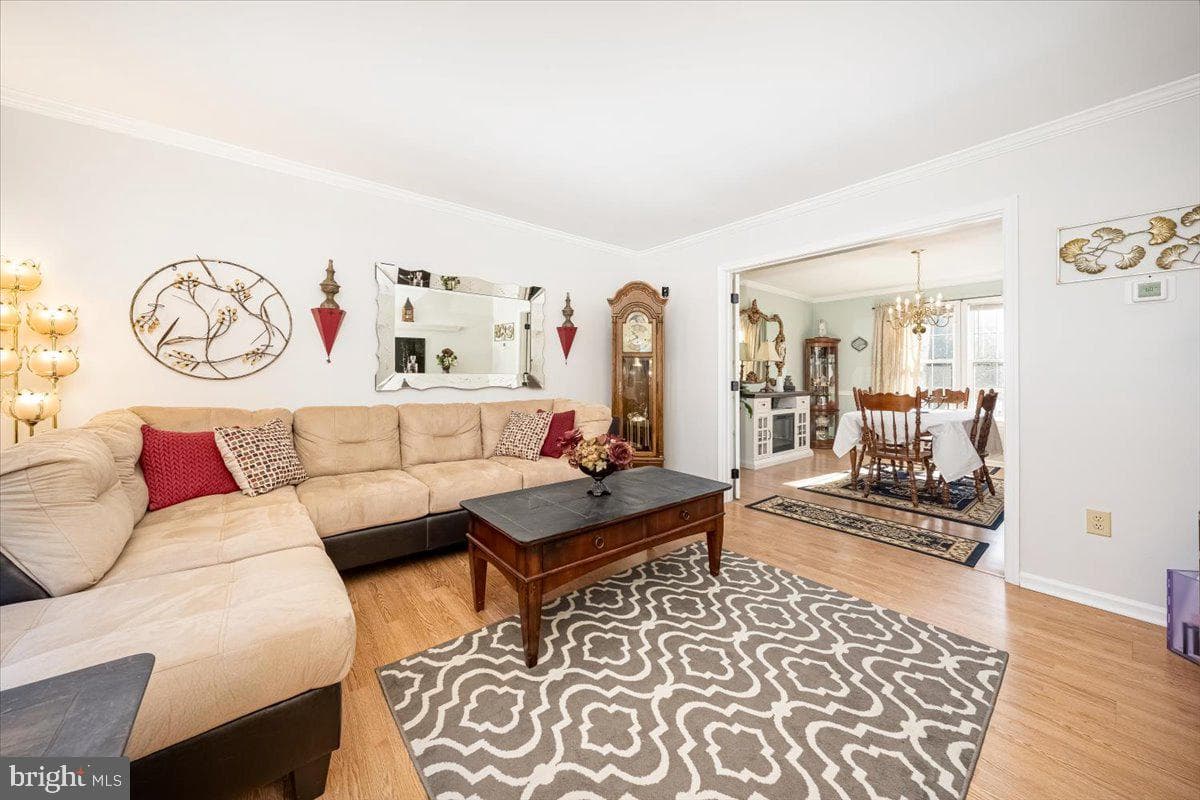 43 Bancroft Street photo 7