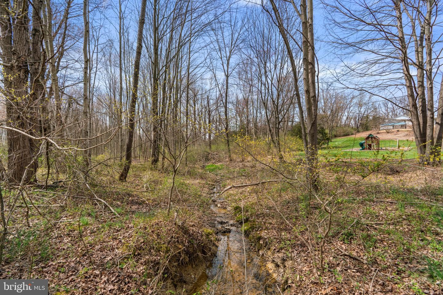 2615 Tyrone Road photo 46