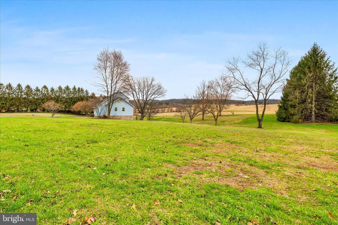 1603 Richardson Road photo 43