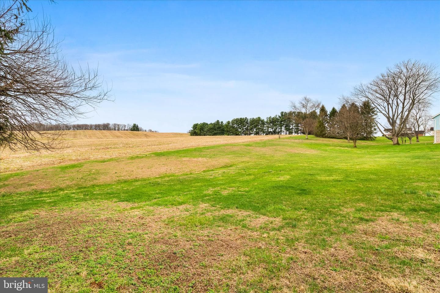 1603 Richardson Road photo 44