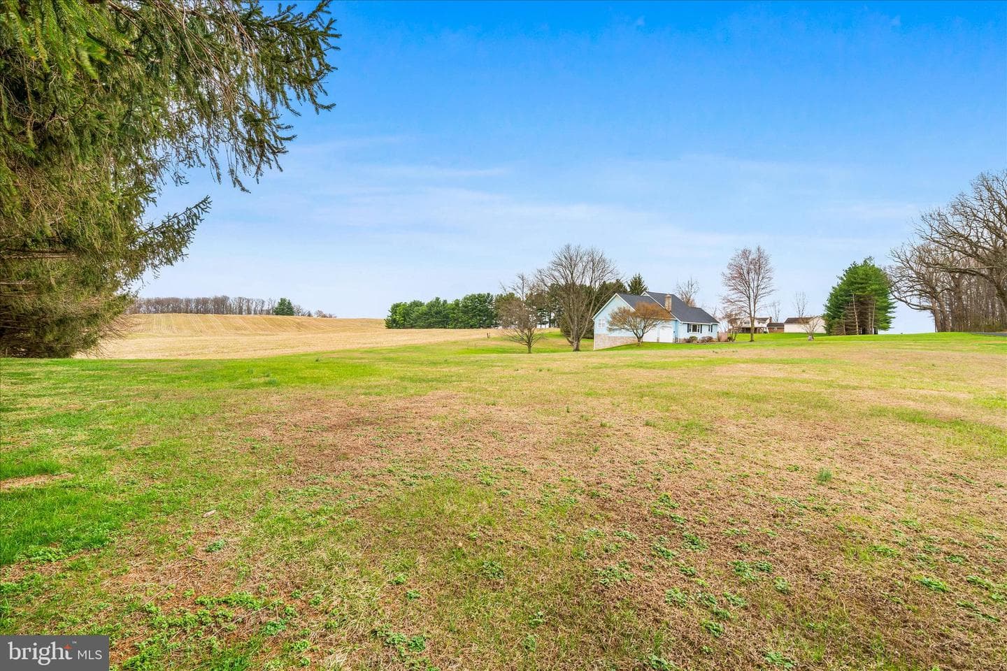 1603 Richardson Road photo 45
