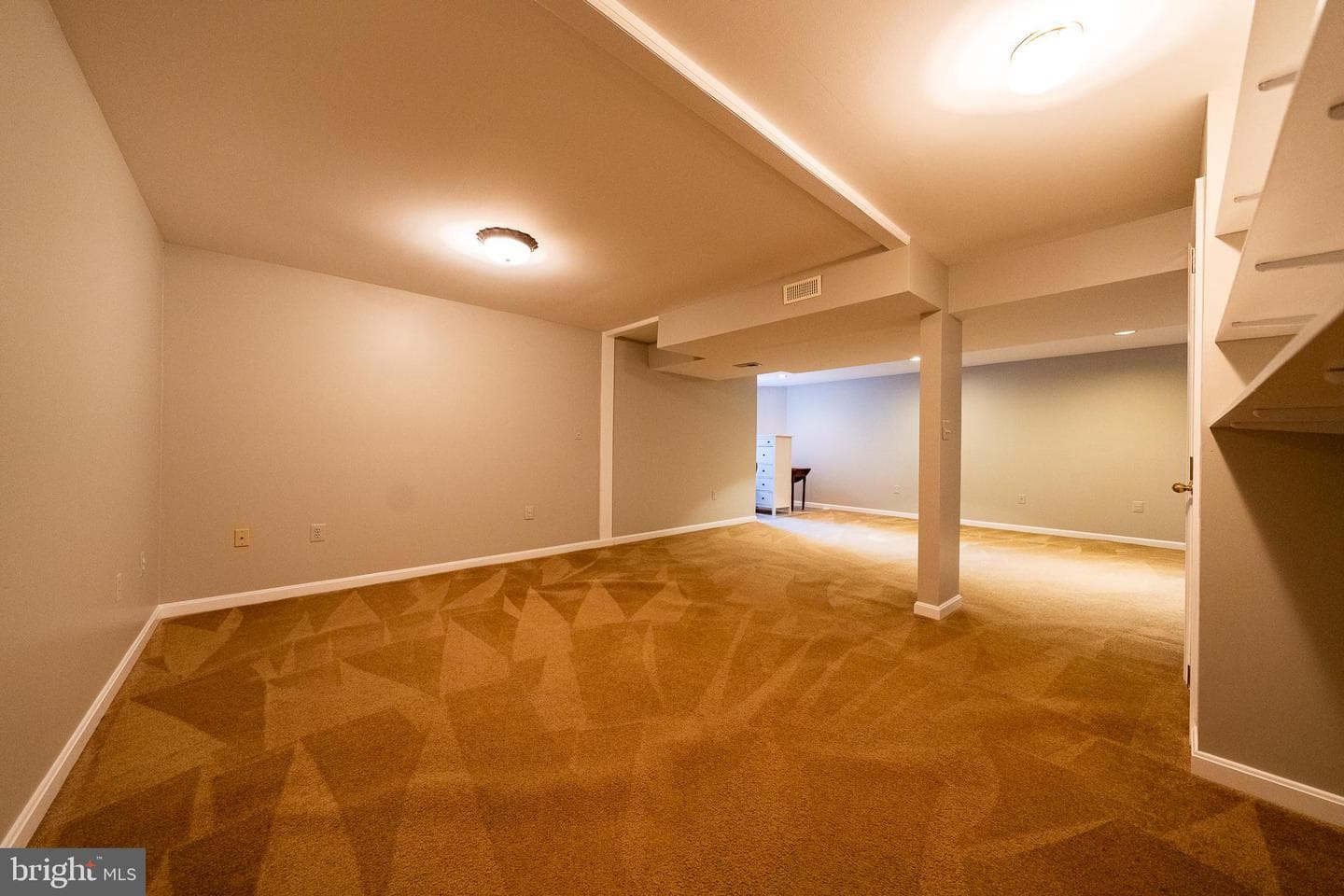 6709 Purple Martin Court photo 37