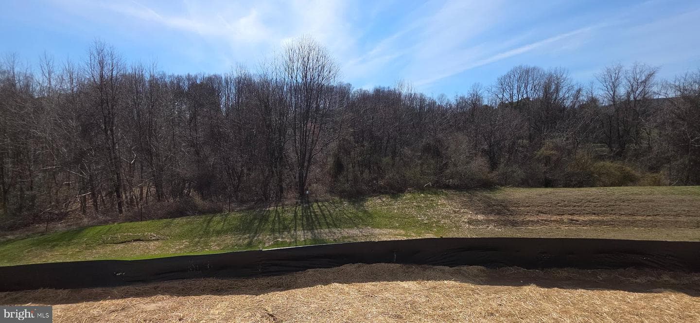 5234 Helton Drive photo 31