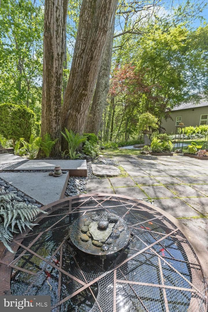 927 Buckhorn Road photo 108