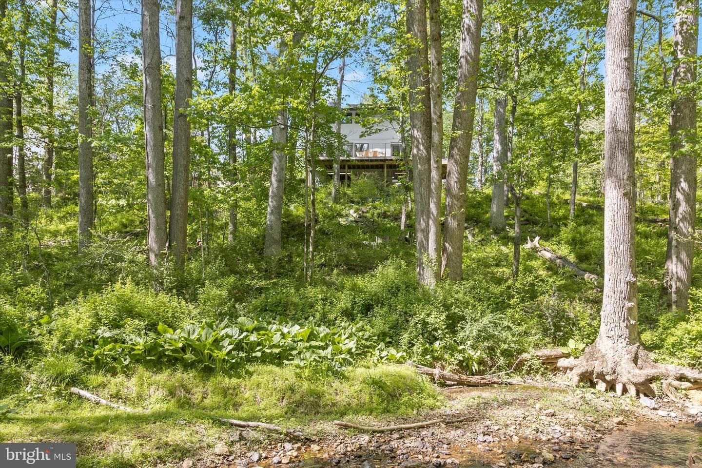 927 Buckhorn Road photo 95