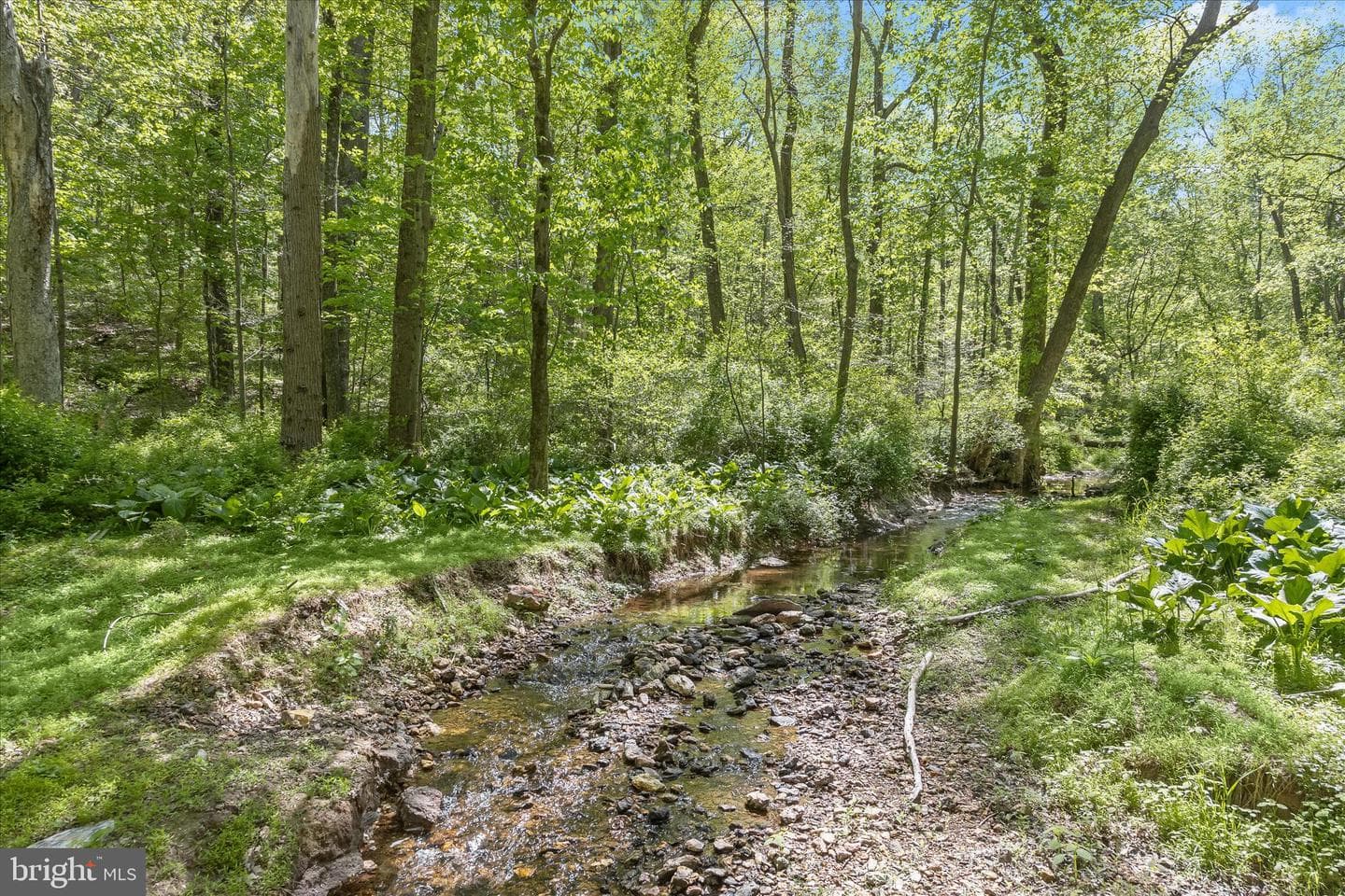 927 Buckhorn Road photo 96