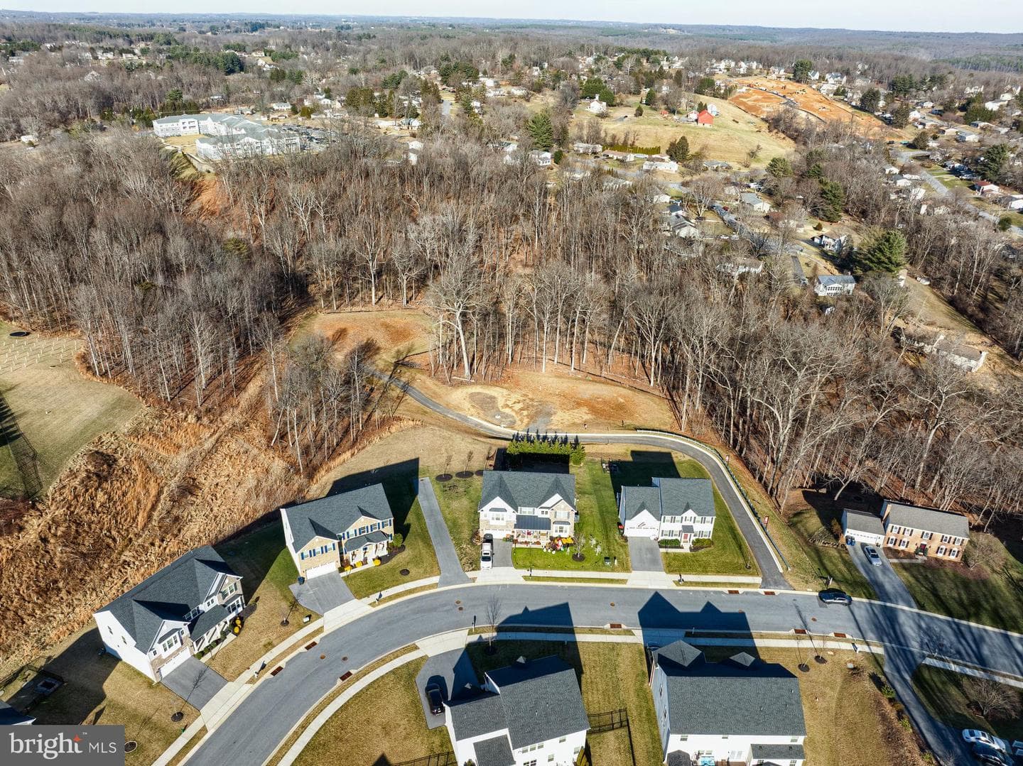 6142 Snowdens Run Drive #devonshire photo 47