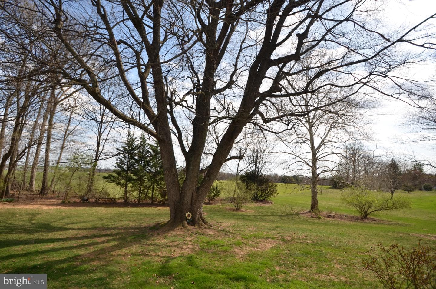 901 Lee Avenue photo 16