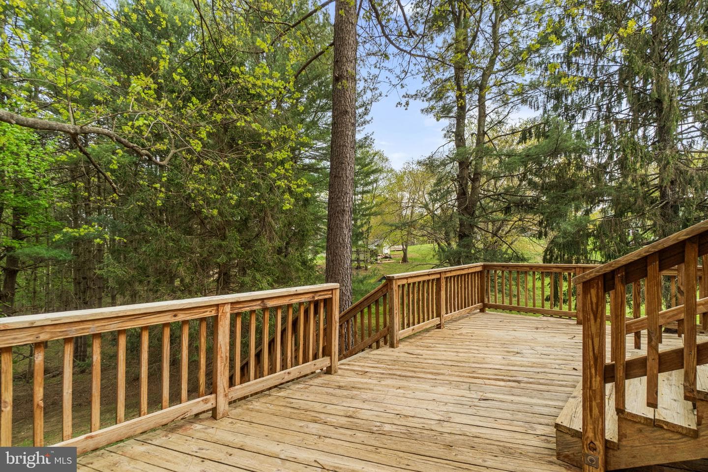2734 Deer Park Road photo 14