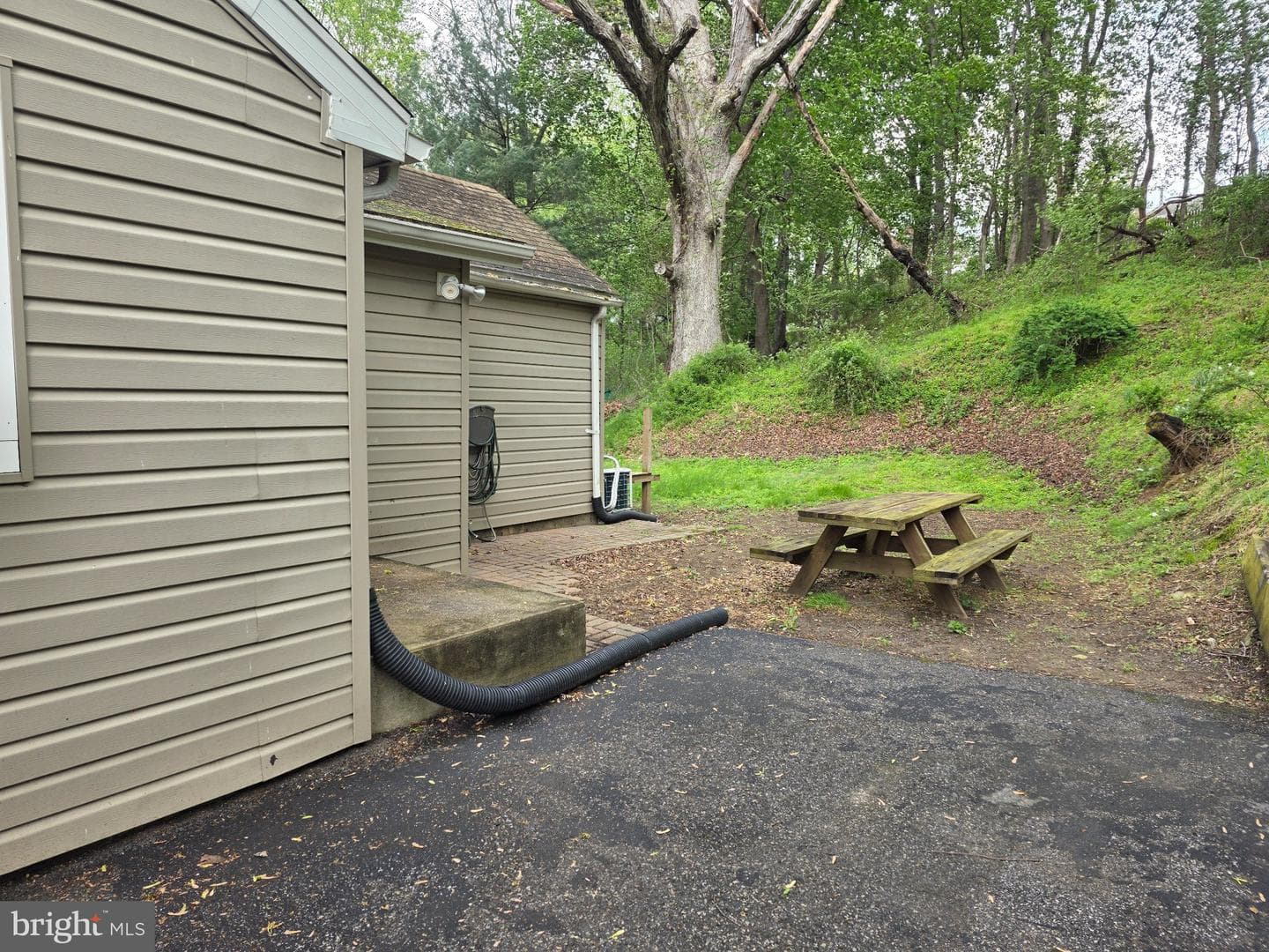 718 Wilson Avenue photo 3