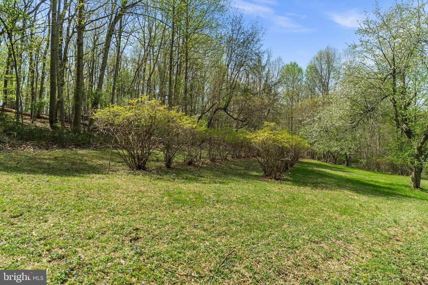 2062 Harvey Gummel Road photo 52