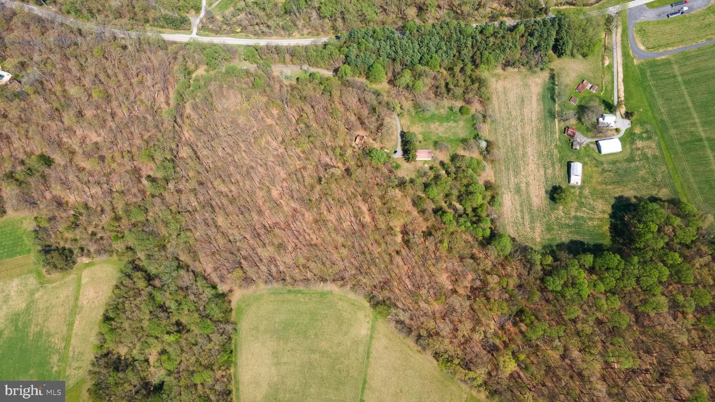 2062 Harvey Gummel Road photo 54