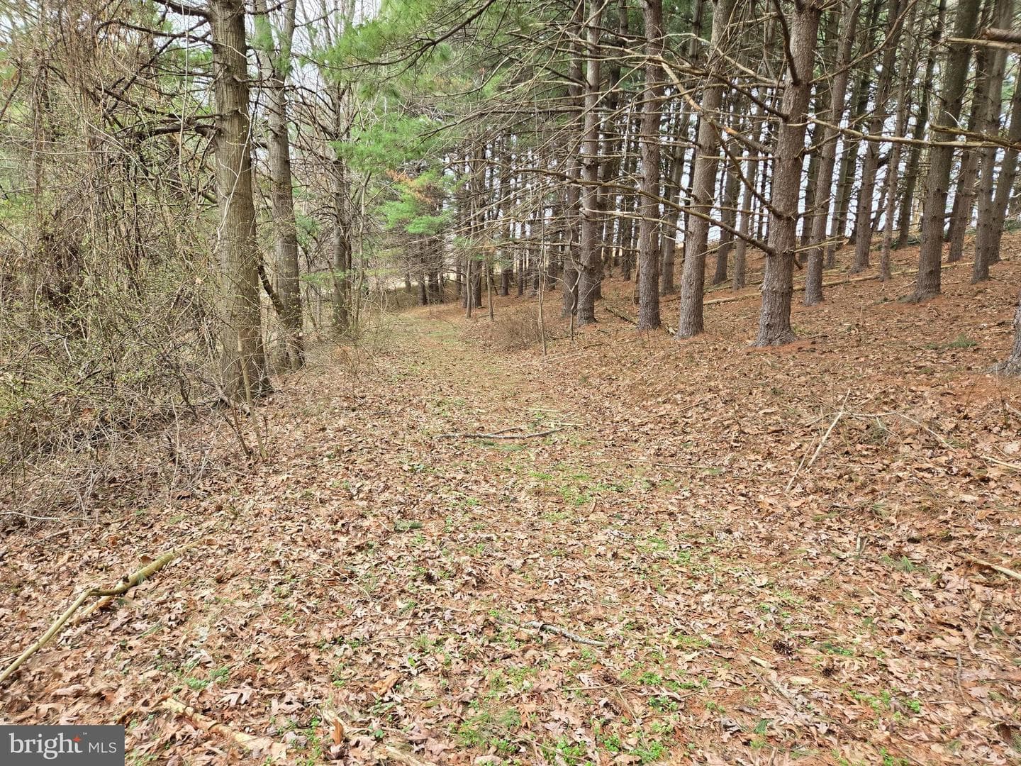 Farmington photo 18
