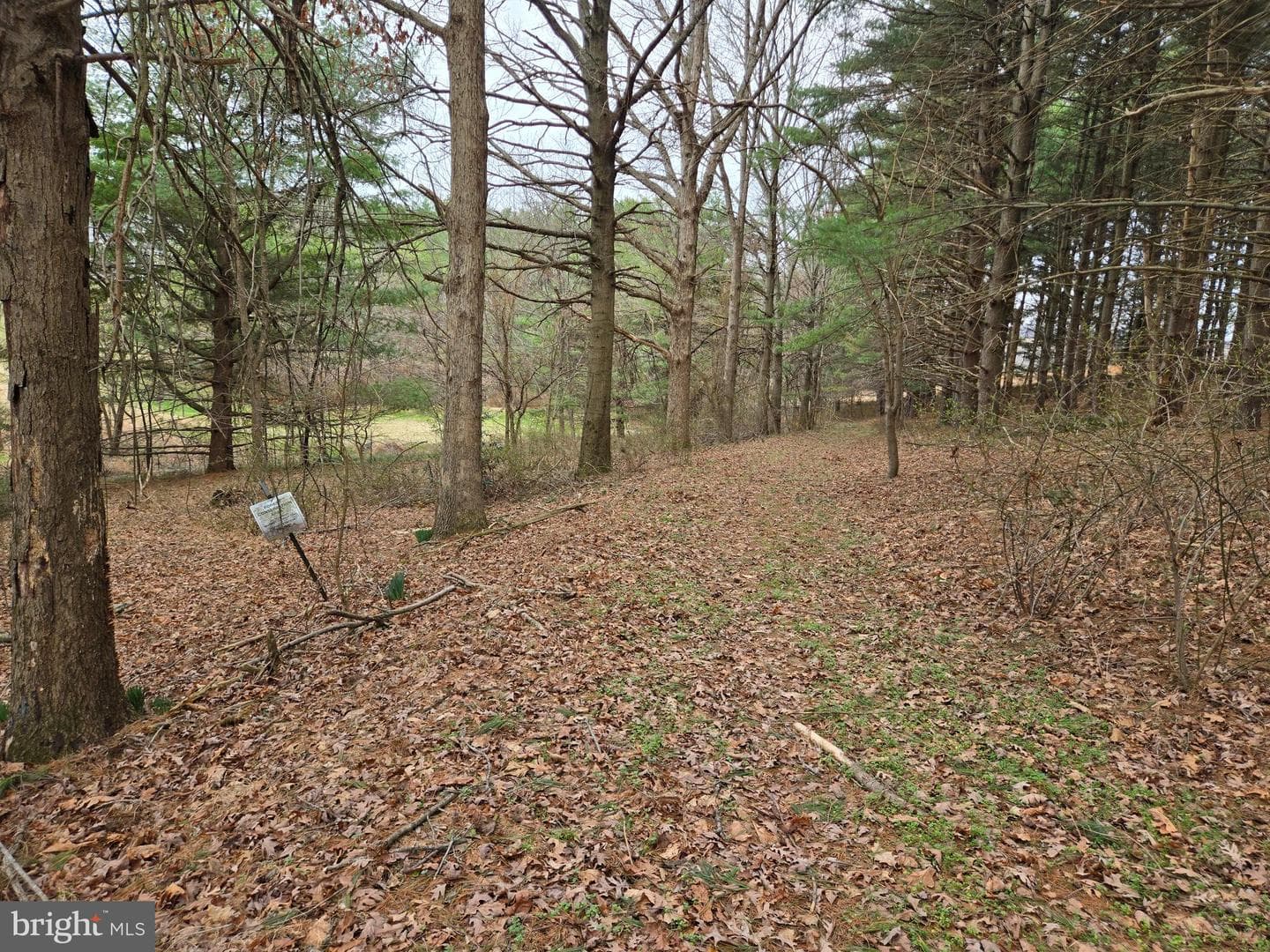 Farmington photo 20