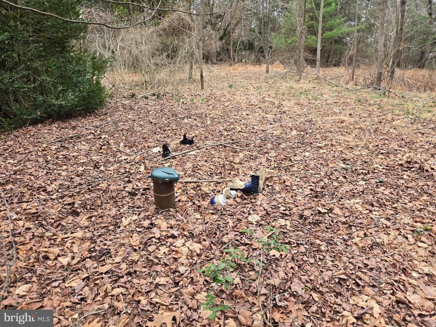 Farmington photo 24