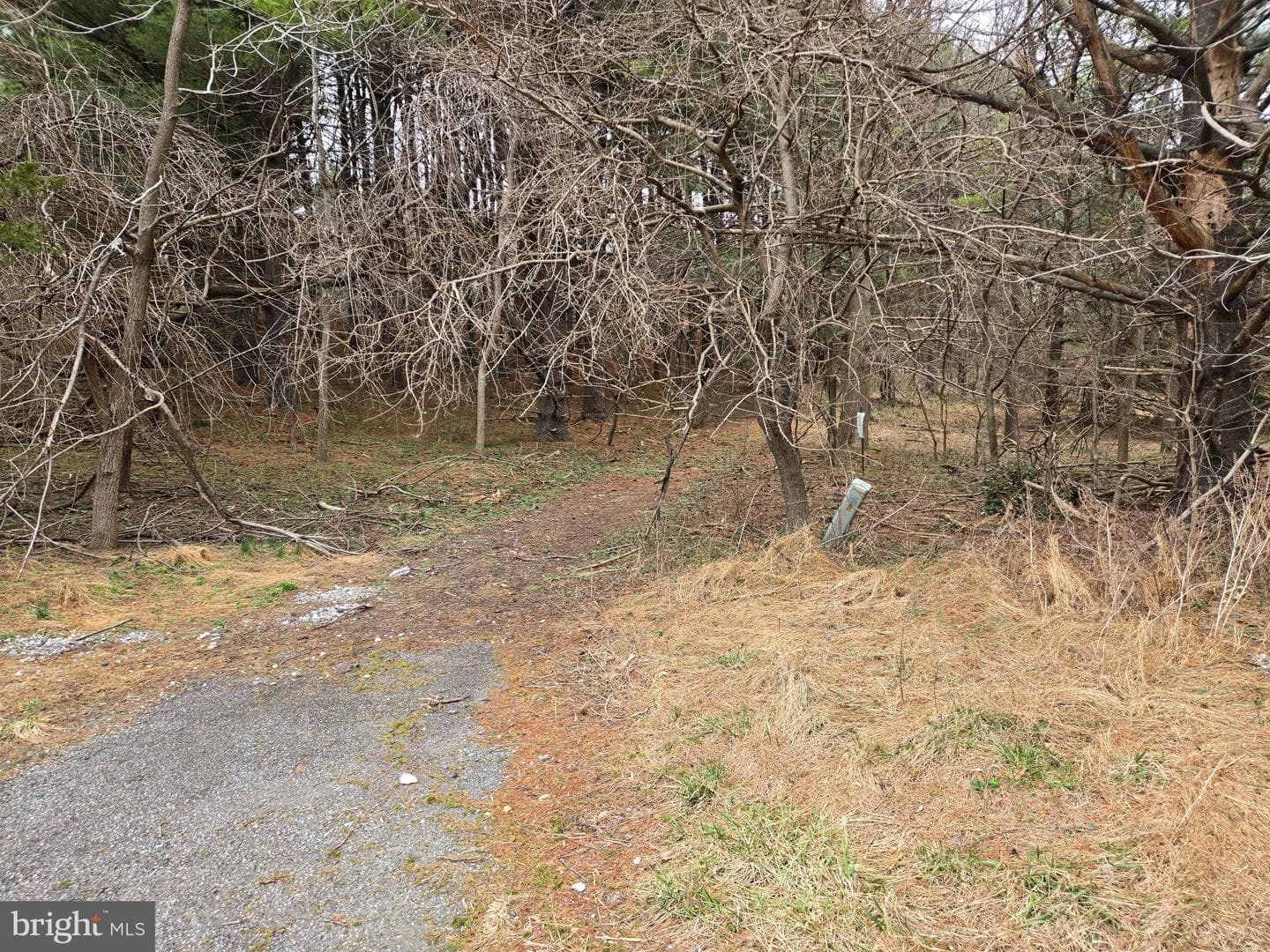 Farmington photo 29