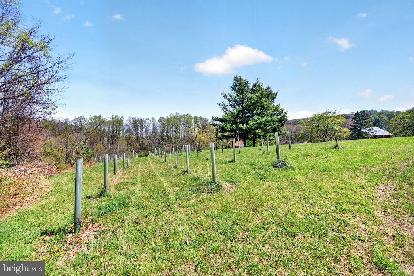 3200 Ferrier Road photo 7