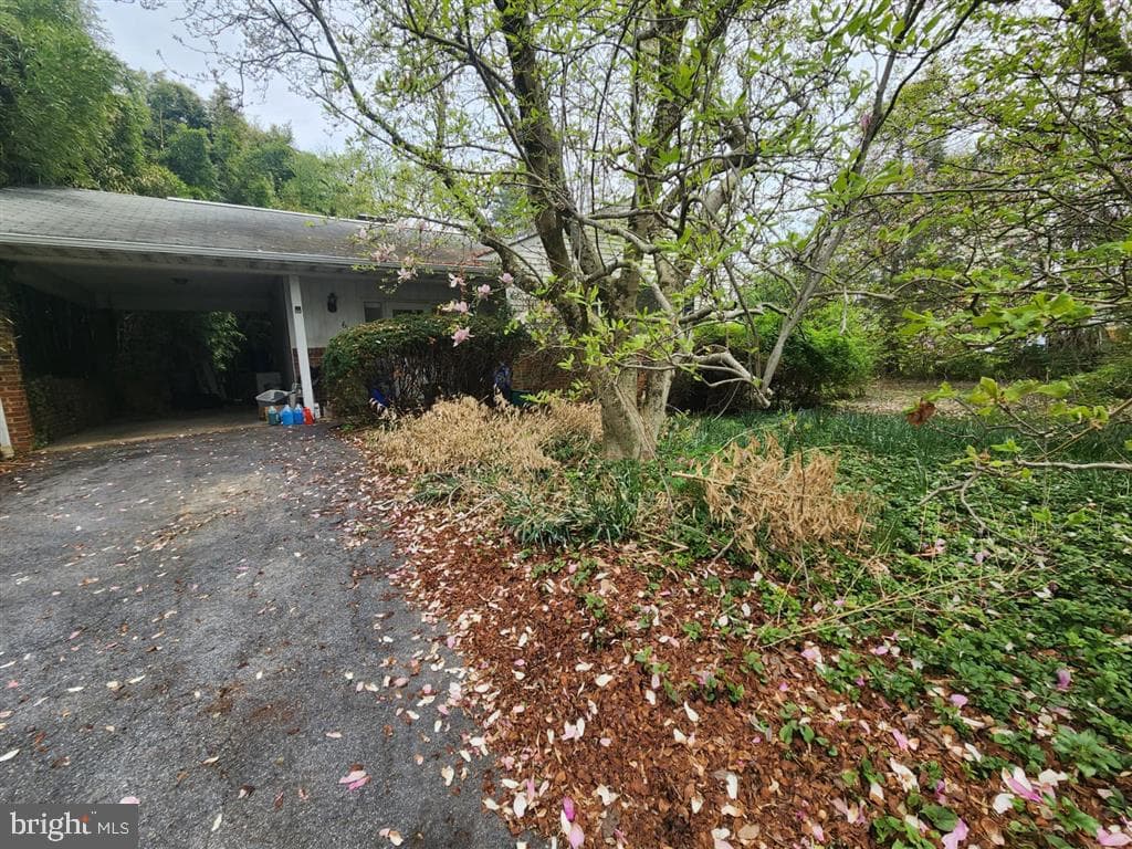 6111 Oakland Mills Road photo 3