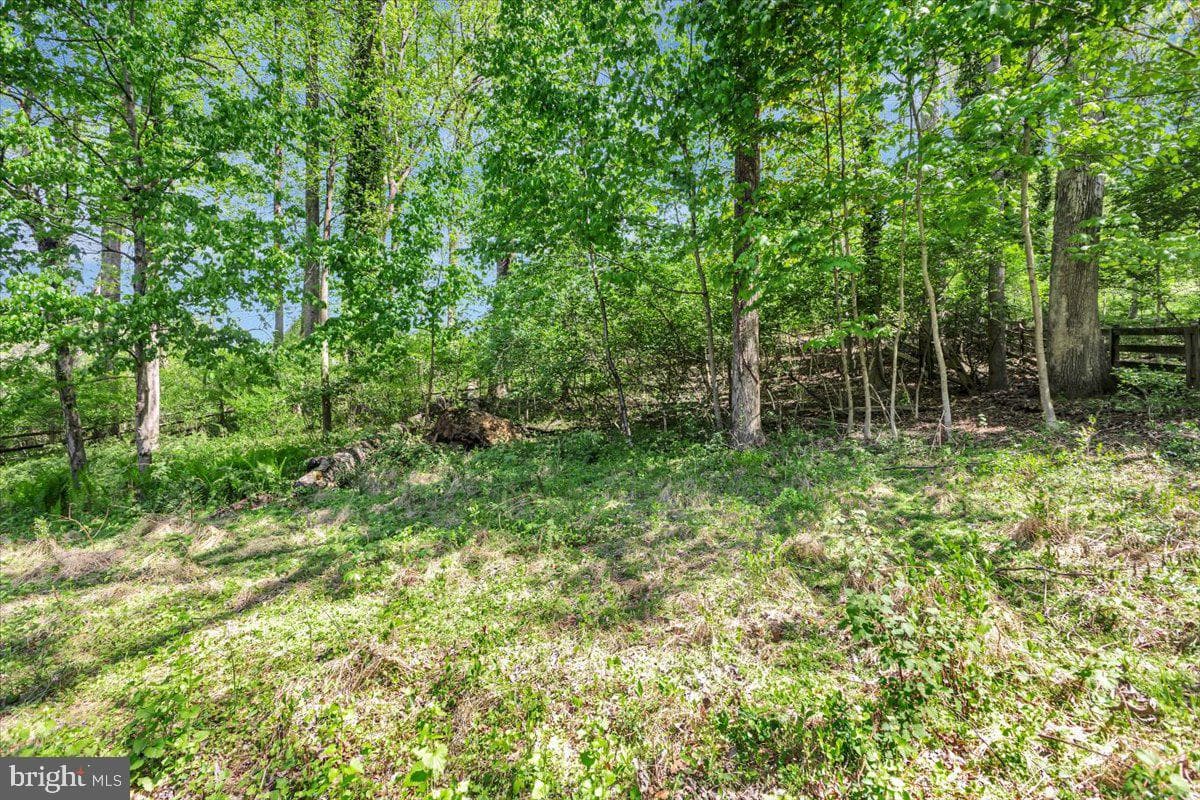 6309 Oak Hill Drive photo 30