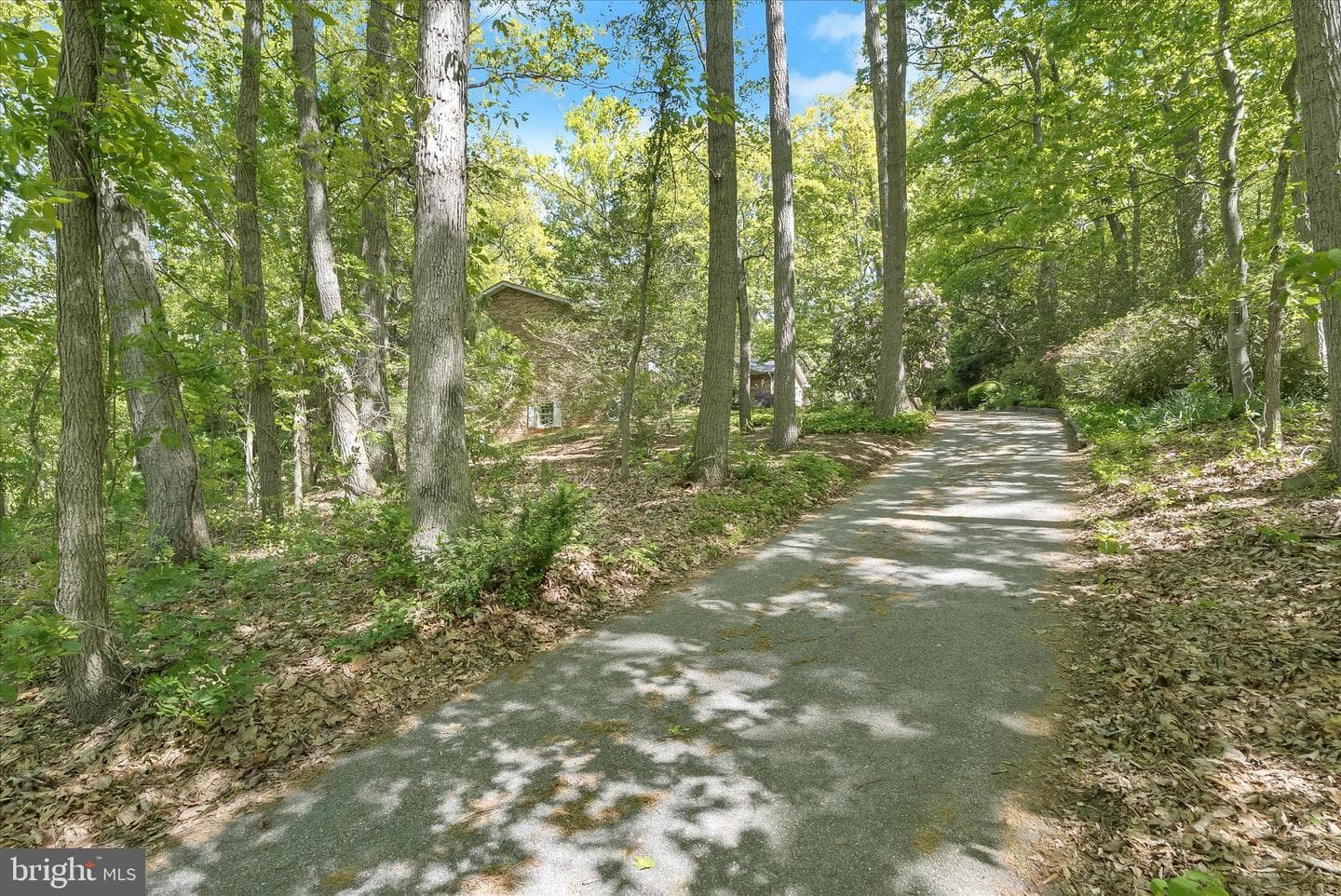 3391 Salem Bottom Road photo 64