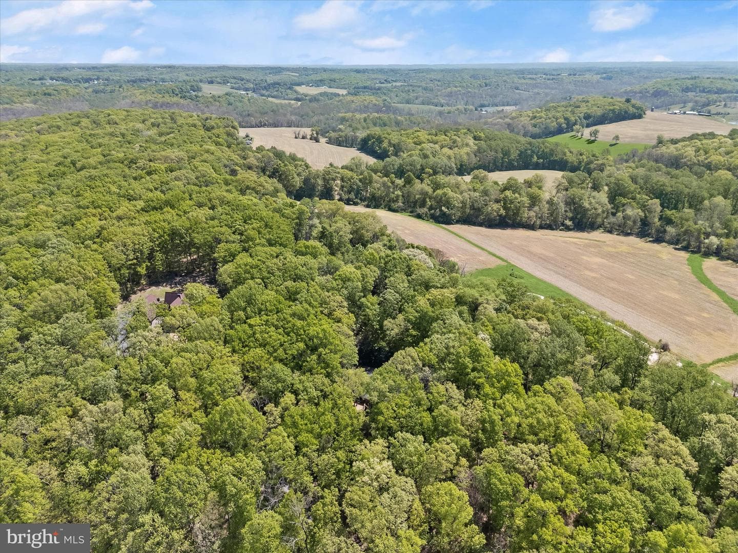 3391 Salem Bottom Road photo 72