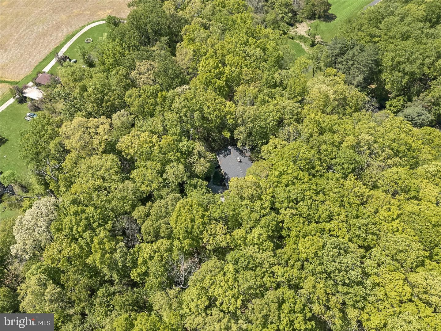 3391 Salem Bottom Road photo 74