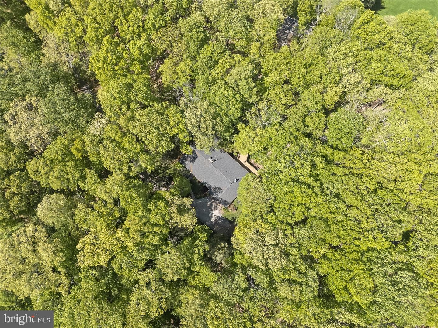 3391 Salem Bottom Road photo 75