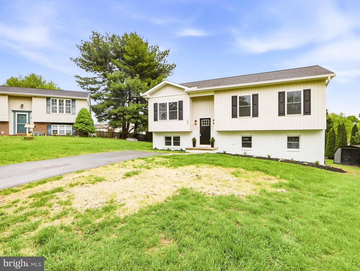 683 Sunflower Court photo 3