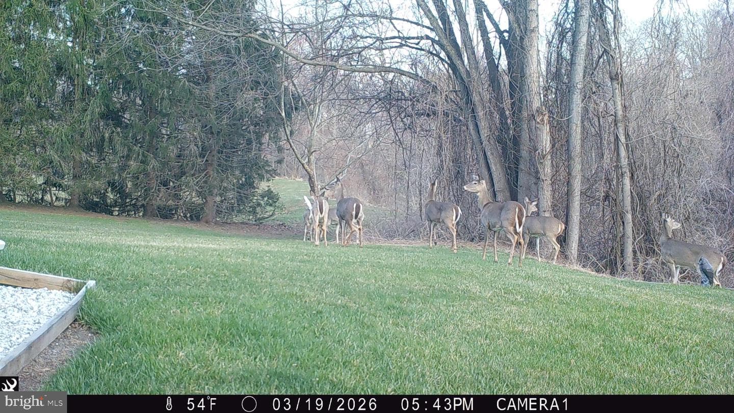 1411 Copper Beech Court photo 55